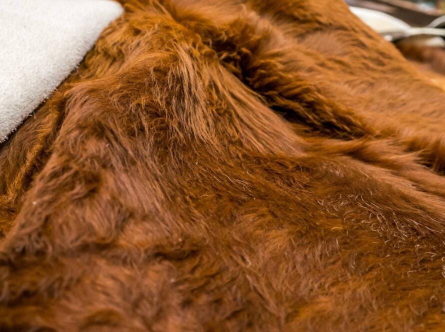 "A close-up of rich, brown wool fibers paired with a white woolen backing, demonstrating the natural texture and durability of New Zealand wool for various applications."