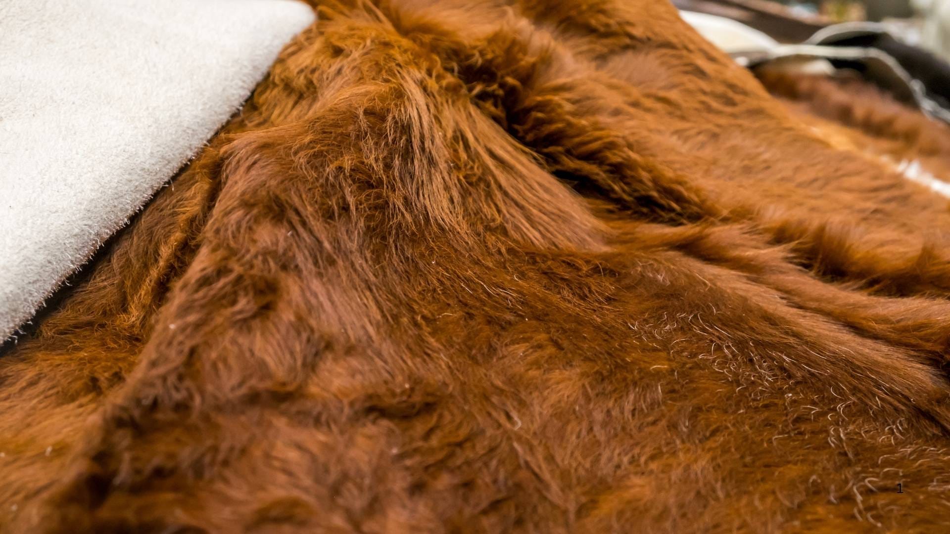 "A close-up of rich, brown wool fibers paired with a white woolen backing, demonstrating the natural texture and durability of New Zealand wool for various applications."