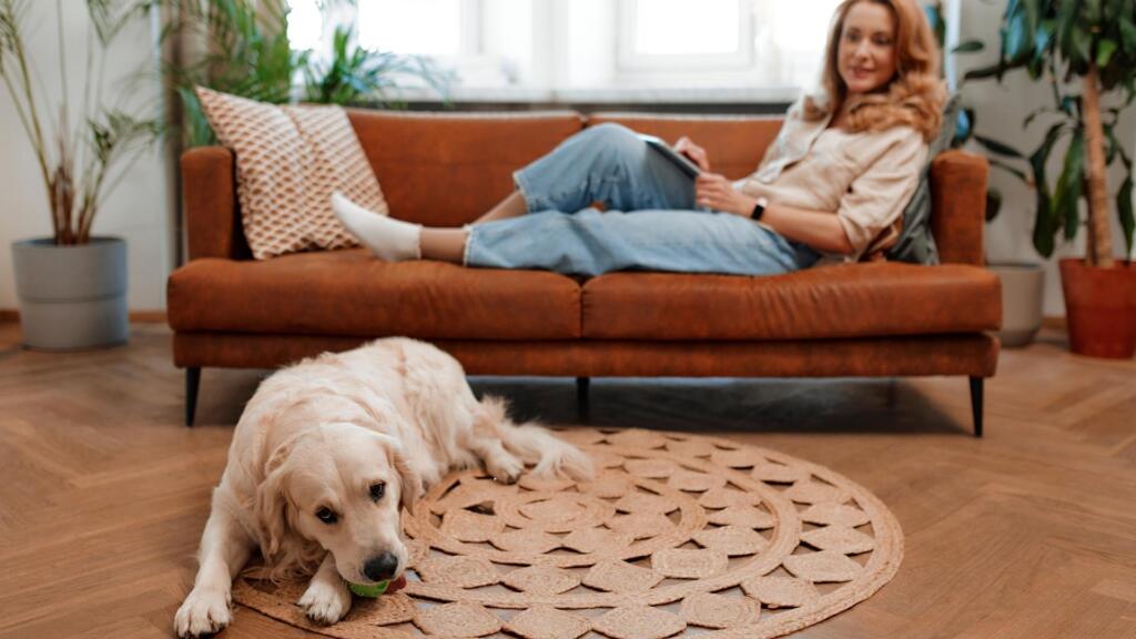 choosing a rug from a variety of options, highlighting the role of consumers in sustainable choices.