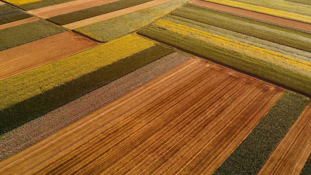 Close-up of a modern rug made from innovative, sustainable materials showcasing unique textures and colors.