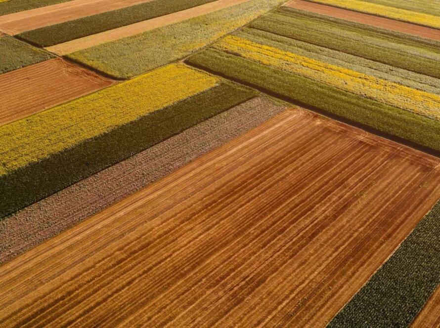 Close-up of a modern rug made from innovative, sustainable materials showcasing unique textures and colors.