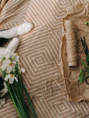 cute-cat-smelling-daffodils-and-relaxing-on-cozy-b-2023-11-27-05-06-59-utc (1) cute-cat-smelling-daffodils-and-relaxing-on-cozy-b-2023-11-27-05-06-59-utc (1)
